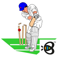 buzzcricket