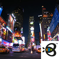 buzznyc